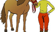 漫画人与马,人与马的和谐交响